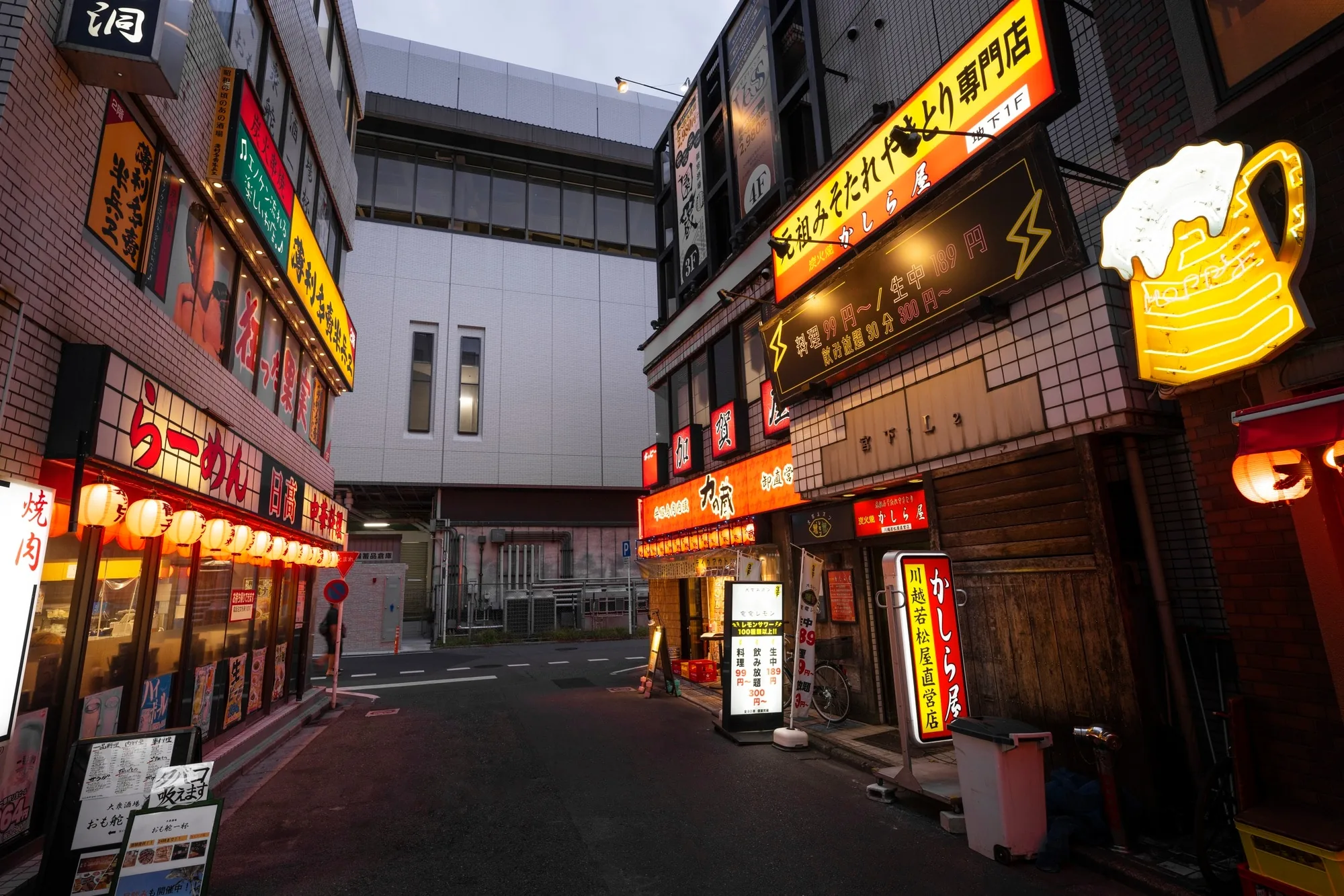 Rows of manga volumes and doujin publications in an Akihabara shop